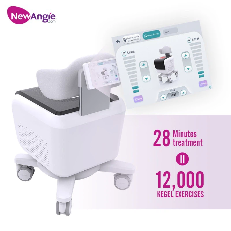 EMS Private Chair Pelvic Floor price